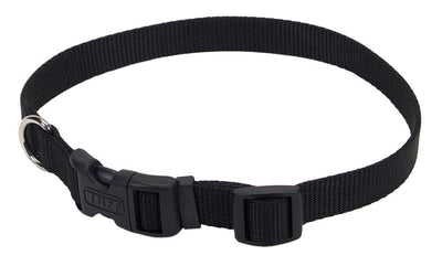 Black nylon dog collar with silver D-ring and plastic buckle, wide strap
