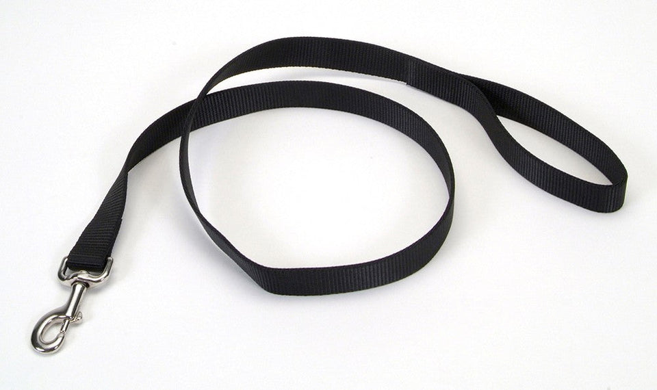 Coastal SinglePly Nylon Dog Leash, Black, 1 in x 4 ft