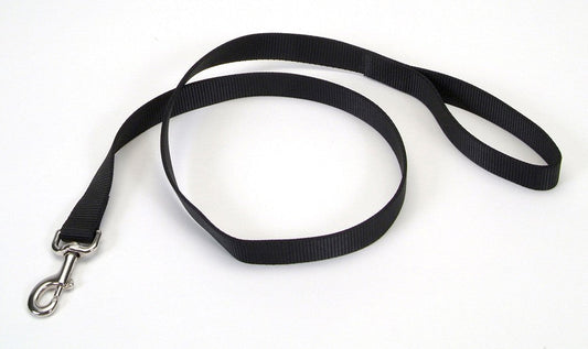Coastal SinglePly Nylon Dog Leash Black, 1ea/1 In X 6 ft
