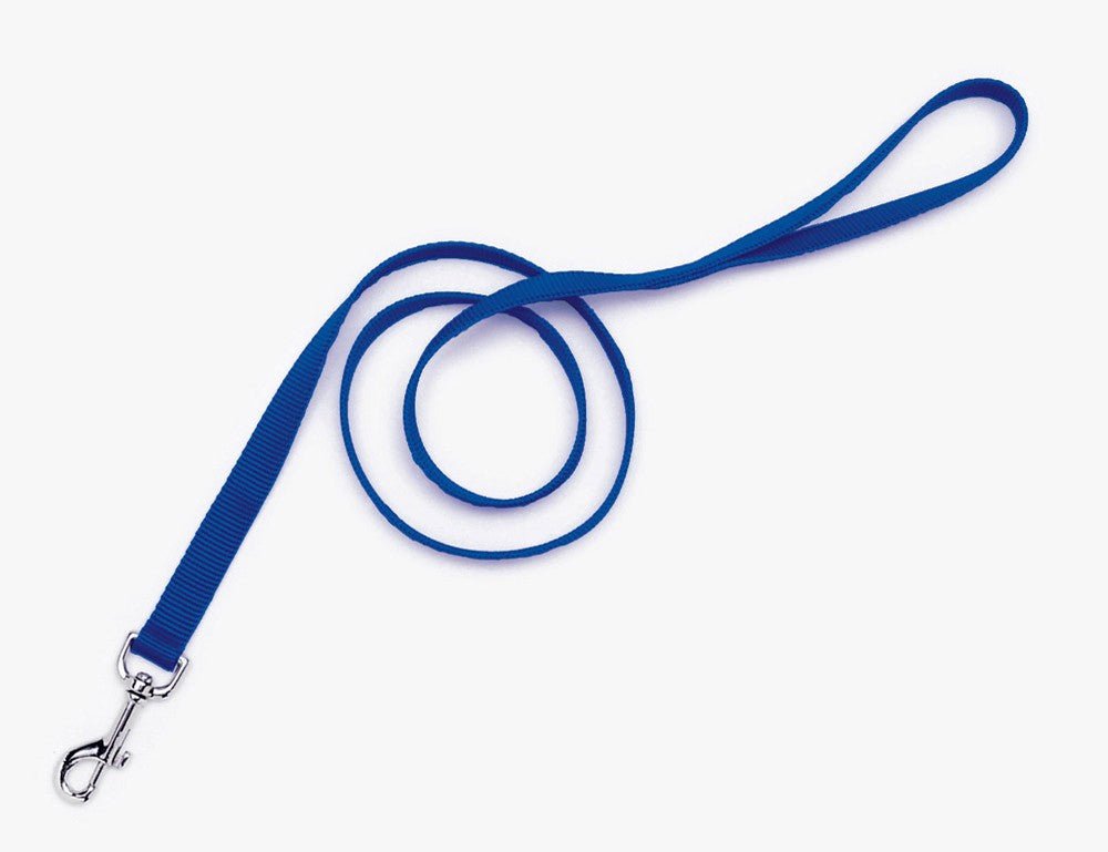 Coastal SinglePly Nylon Dog Leash Blue, 1ea/1 In X 6 ft - Pets Perfect