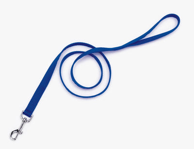 Blue nylon dog leash looped with handle and silver snap hook