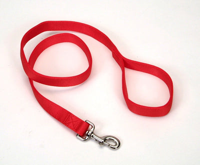 Red nylon dog leash coiled with two loops and metal snap hook