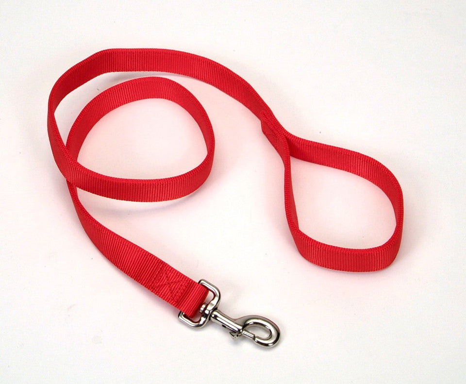 Red nylon dog leash coiled with two loops and metal snap hook