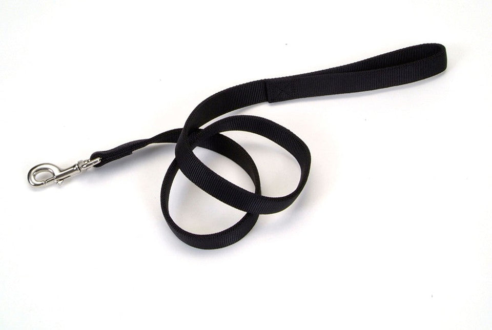 Black nylon leash coiled loosely showing stitched handle and swivel clip