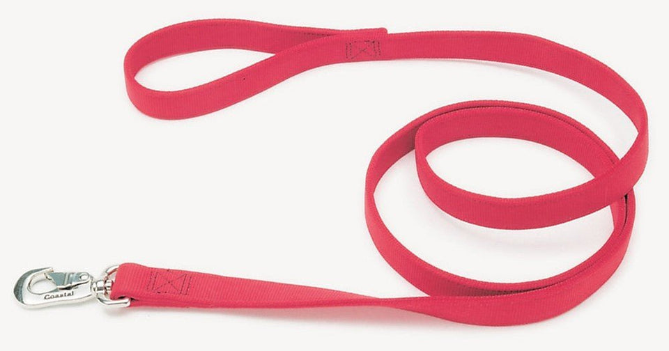 Coastal DoublePly Nylon Dog Leash Red, 1 in x 6 ft