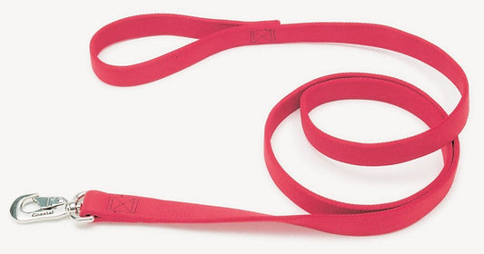 Coastal DoublePly Nylon Dog Leash Red, 1ea/1 In X 6 ft