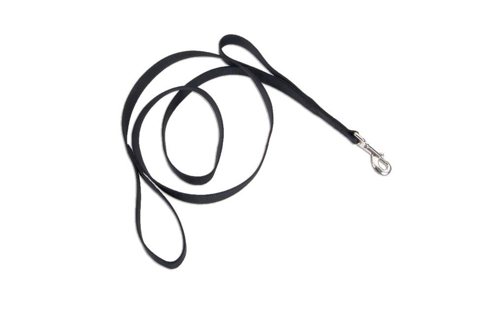 Loops 2 Double Handle Nylon Dog Leash Black, 1 in x 6 ft