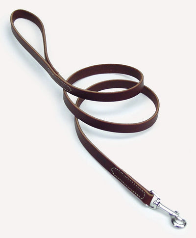 Circle T Latigo Leather Dog Leash - Brown, 1 in x 6 ft