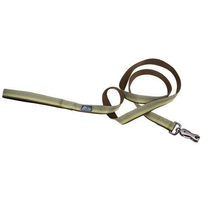 Coastal Pet Products K9 Explorer Reflective Dog Leash With Scissor Snap, 5/8 Inchx6 Fern Green - Pets Perfect