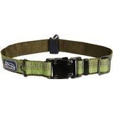 Coastal K9 Explorer 1 in Adj Dog Collar Fern Green (12-18 in) - Pets Perfect