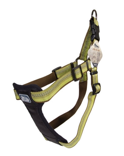Coastal K9 Explorer 1 in Padded Dog Harness Fern Green (20-30 in)