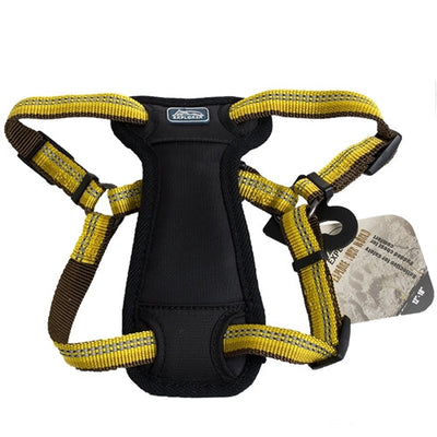 Coastal K9 Explorer 1 in Padded Dog Harness Goldenrod Yellow (20-30 in)