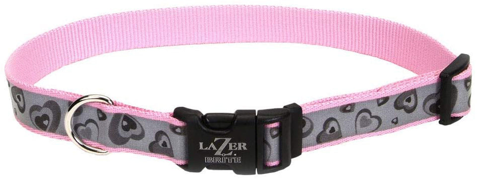 Lazer Brite Reflective Adjustable Dog Collar Turquoise, 5/8 in x 12-18 in