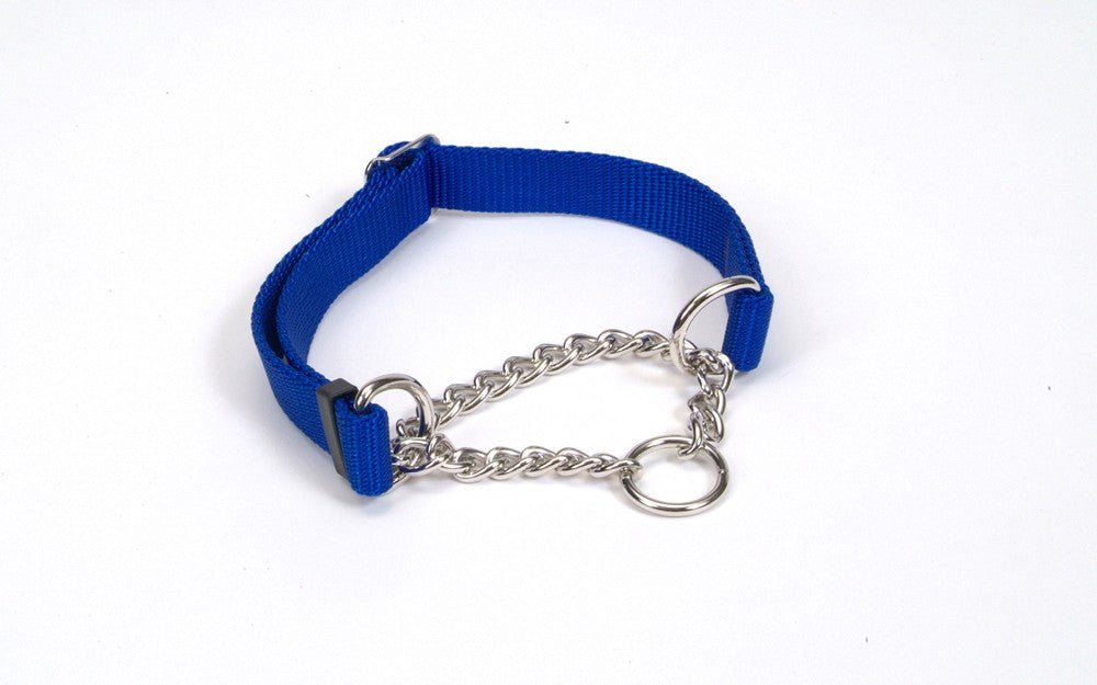 Check - Choke Adjustable Check Training Dog Collar Blue 1ea/5/8 In X 10 - 14 in - Pets Perfect