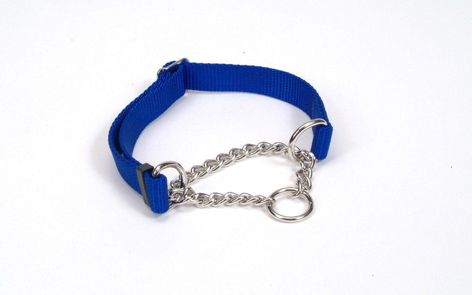 Check-Choke Adj. Check Training Dog Collar Blue 5/8 in x 10-14 in