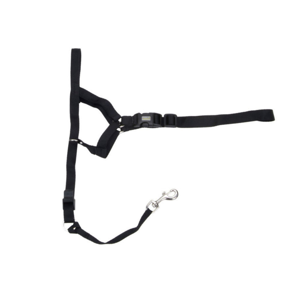 Walk 'n Train Dog Head Halter Black 1ea/XL - Dog Apparel Head Collar