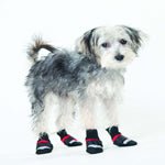 Ethical Pet Extreme All Weather Dog Boots - Red/Black, XXX-Small, view 2