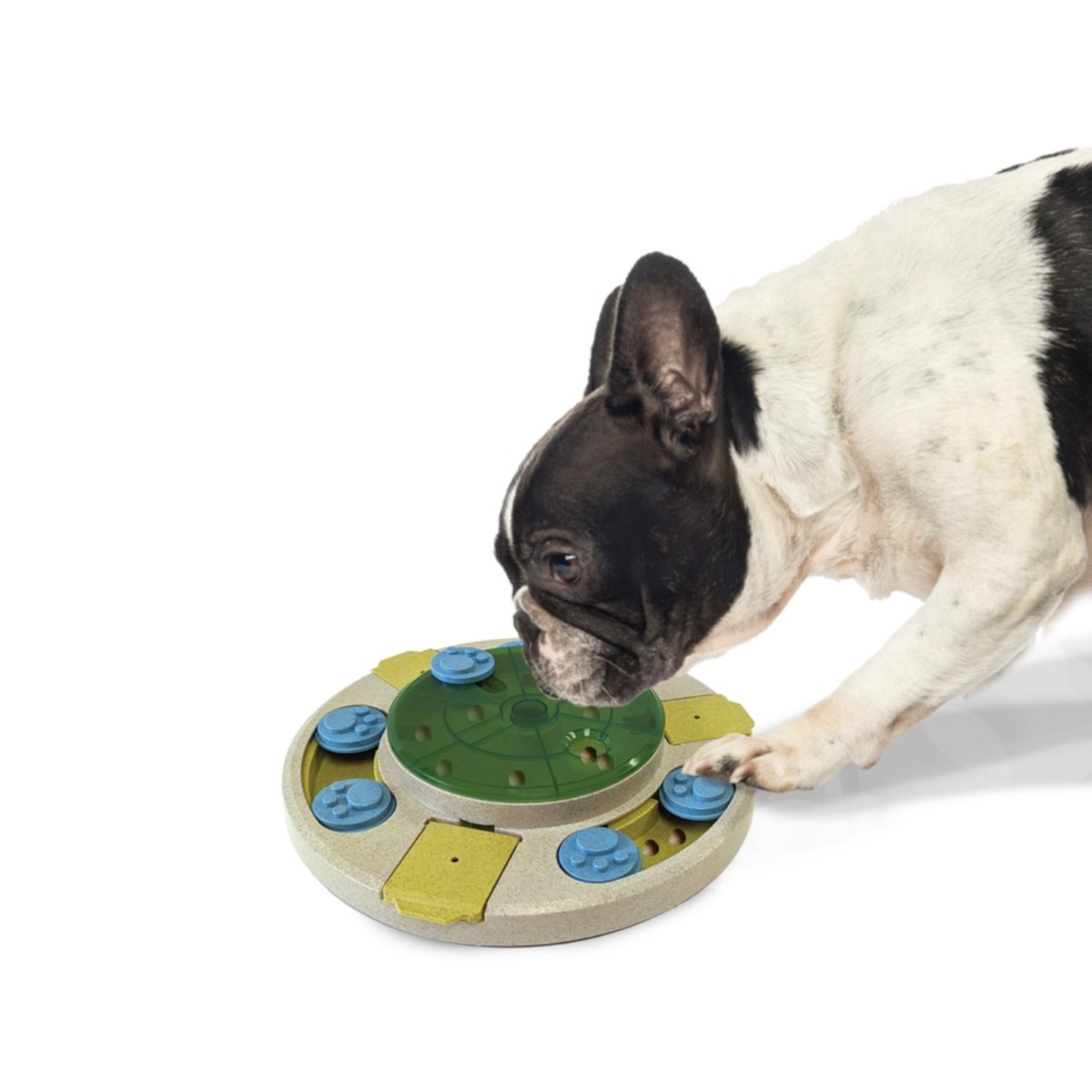 Ethical Pet Seek - a - Treat Spinner Puzzle - Pets Perfect