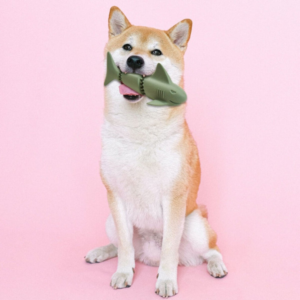 Ethical Pet Love the Earth Natural Rubber Shark Dog Toy, 7 in Assorted, view 2