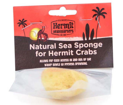 Flukers Hermit Crab Natural Sea Sponge Yellow