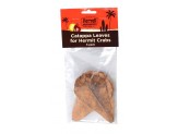 Flukers Hermit Crab Catappa Leaves Brown 5 Pack