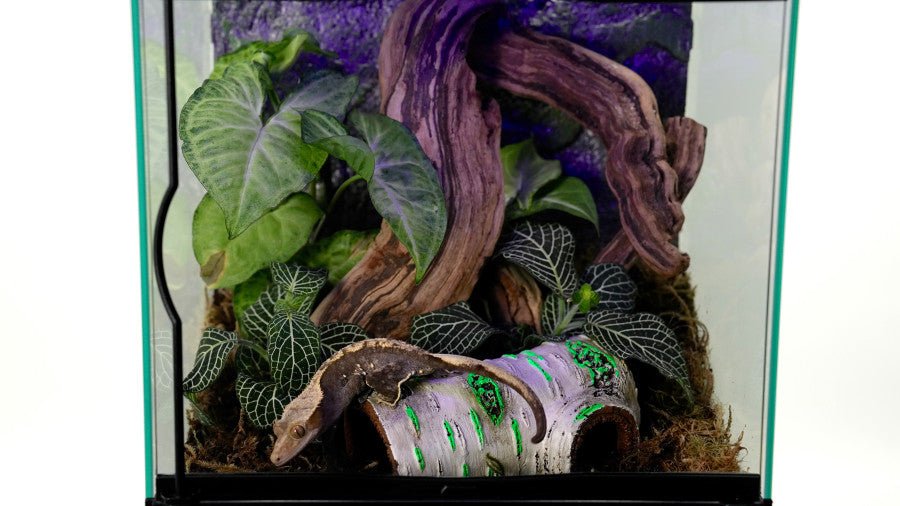 Zilla Rapid Sense UV Detecting Decor - Medium Poplar Log, view 9
