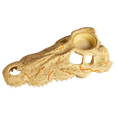 Large, textured crocodile skull decor with a food/water dish and orange accents, viewed from above at an angle.
