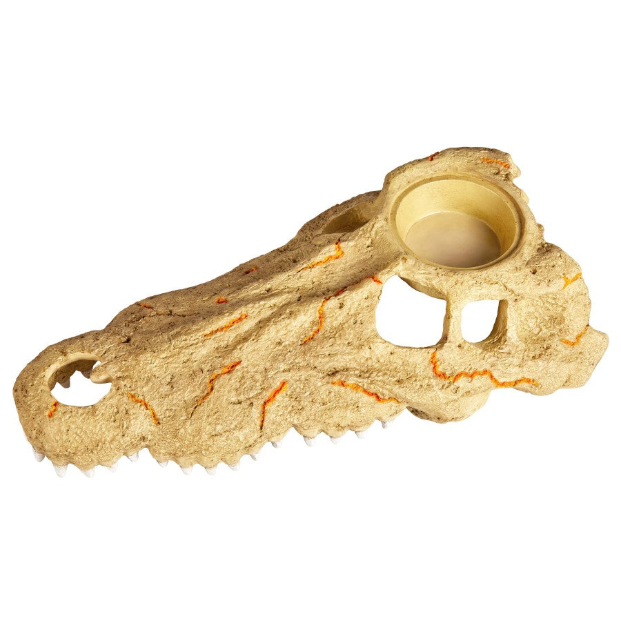 Large, textured crocodile skull decor with a food/water dish and orange accents, viewed from above at an angle.