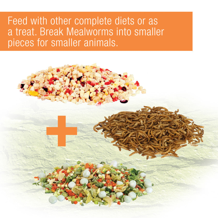 Three piles of food: dried fruit, mealworms, and mixed vegetables with white pellets, plus an orange plus sign.