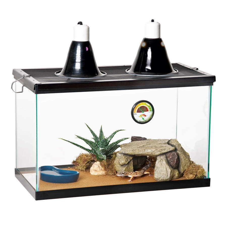 A leopard gecko rests under a Zilla Shale Rock Den in a terrarium with a plant, water dish, and two heat lamps.