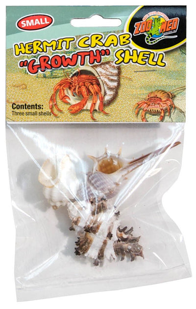 Three assorted small hermit crab shells are visible in clear plastic packaging with a colorful label.