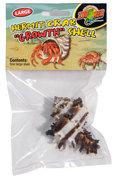 Large hermit crab growth shell in clear packaging with a colorful label.