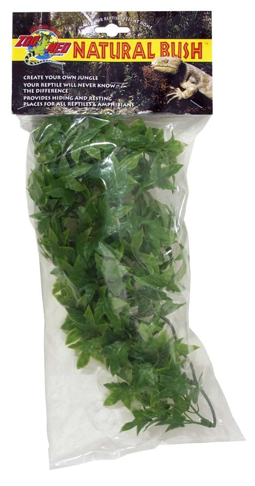Zoo Med Natural Bush Congo Ivy Plant - Small (14 in)