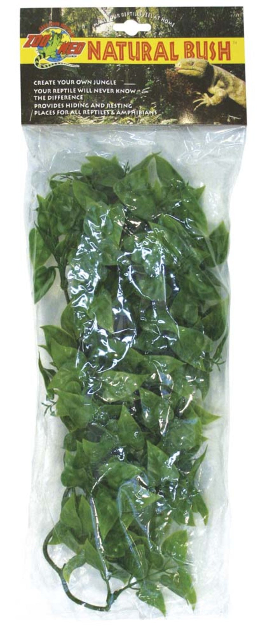 Zoo Med Natural Bush Mexican Phyllo Plants - Green, 18 in Medium