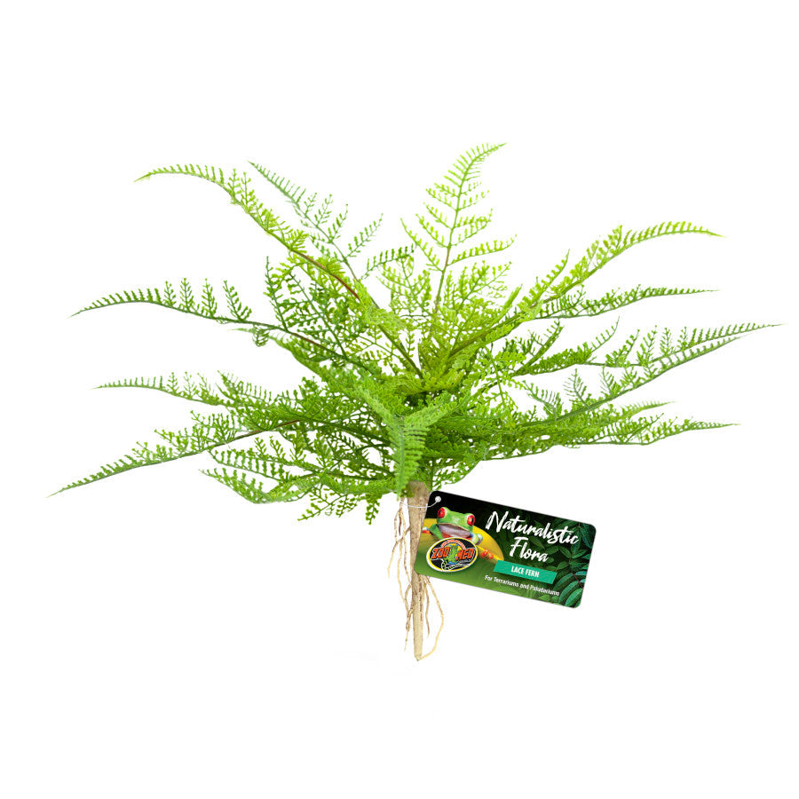 Green artificial lace fern with tan roots and a black "Naturalistic Flora" tag featuring a red-eyed tree frog.