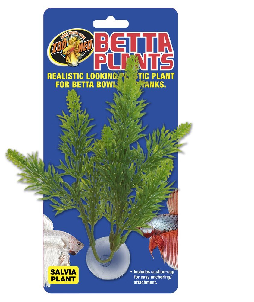 Zoo Med Betta Plant Salvia Green 1ea - Pets Perfect