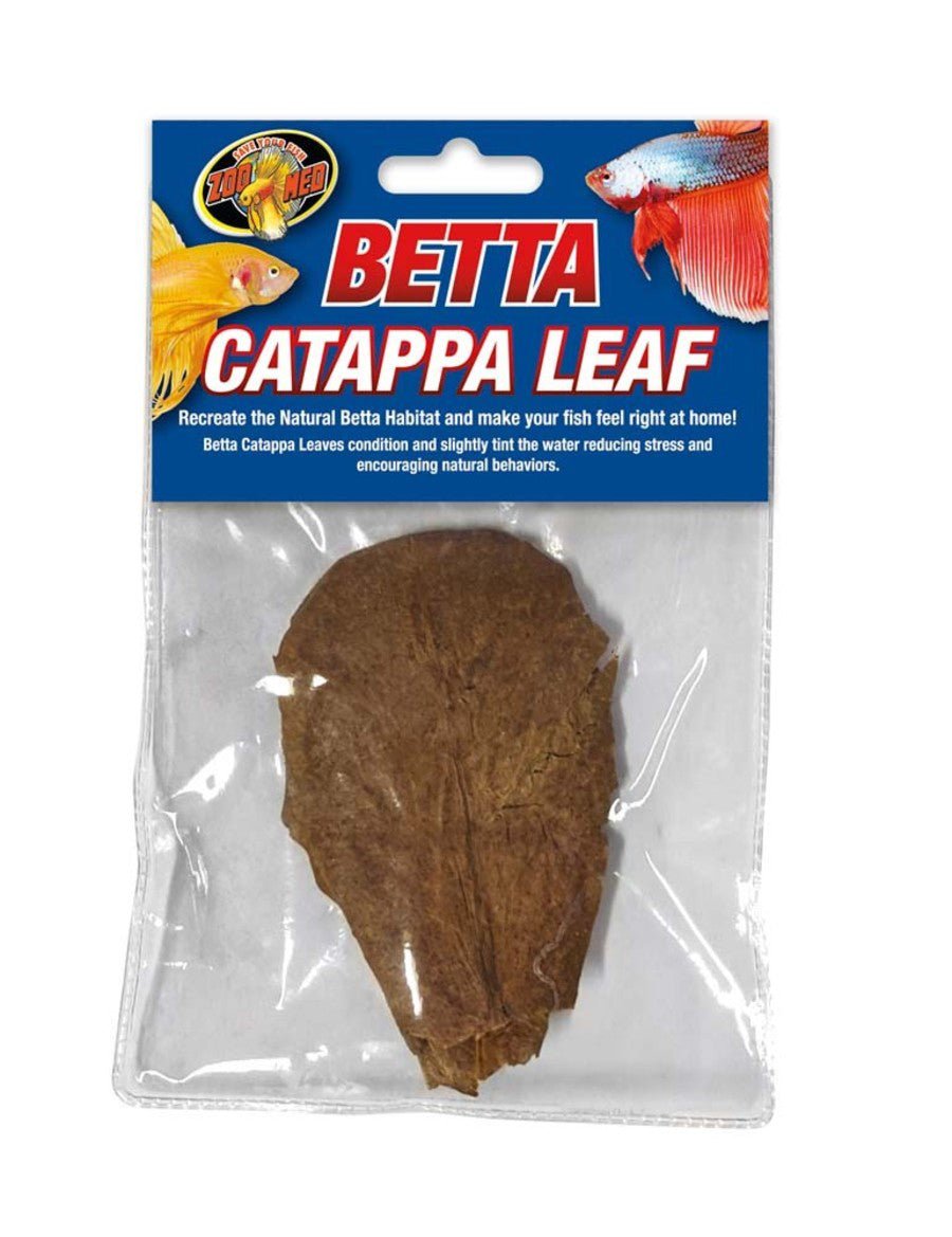 Zoo Med Betta Catappa Leaf 1ea/3 pk - Pets Perfect