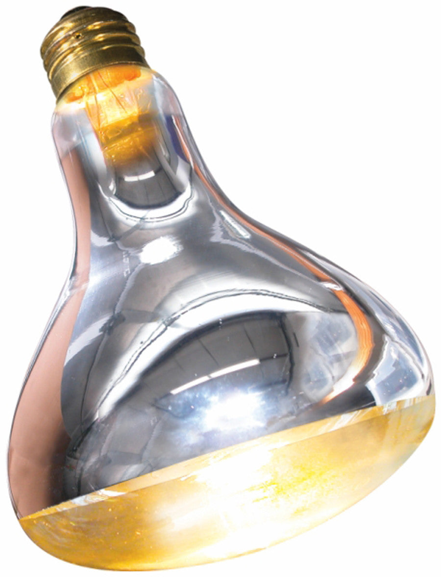 Angled view of a clear and silver heat lamp with a gold base and brass screw-in fitting.
