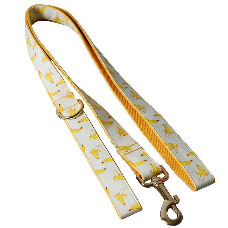 Patterned Dog Collar - Fruit Design with Metal Buckle - Pets Perfect