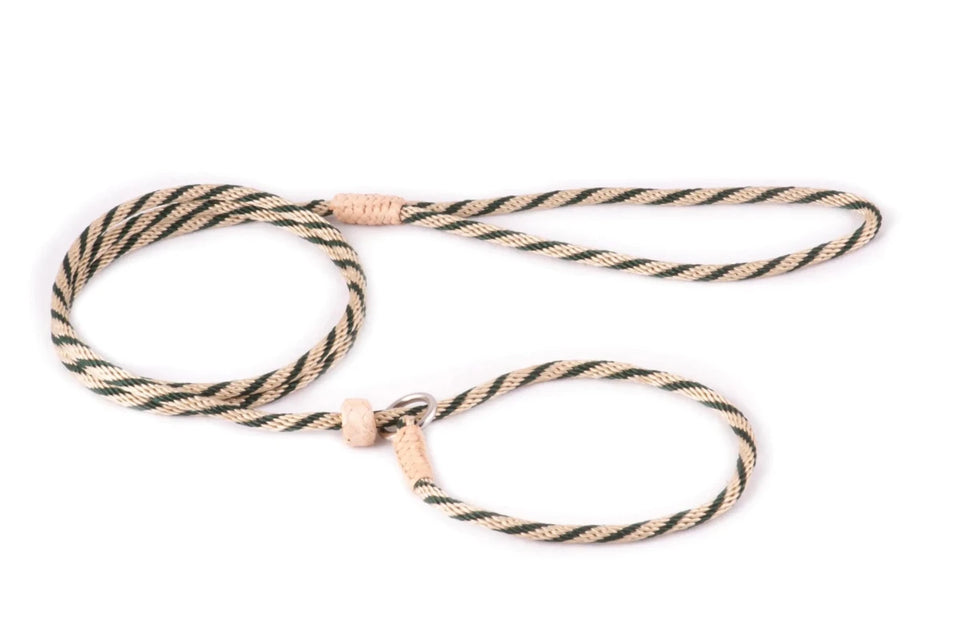 Nylon Slip Lead With Stopper (4 ft x 1/8 in or 4 mm) - Pets Perfect