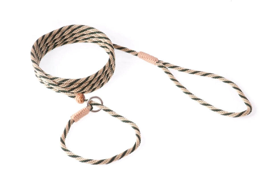 Nylon Slip Lead With Stopper (6 ft x 1/8 in or 4 mm) - Pets Perfect