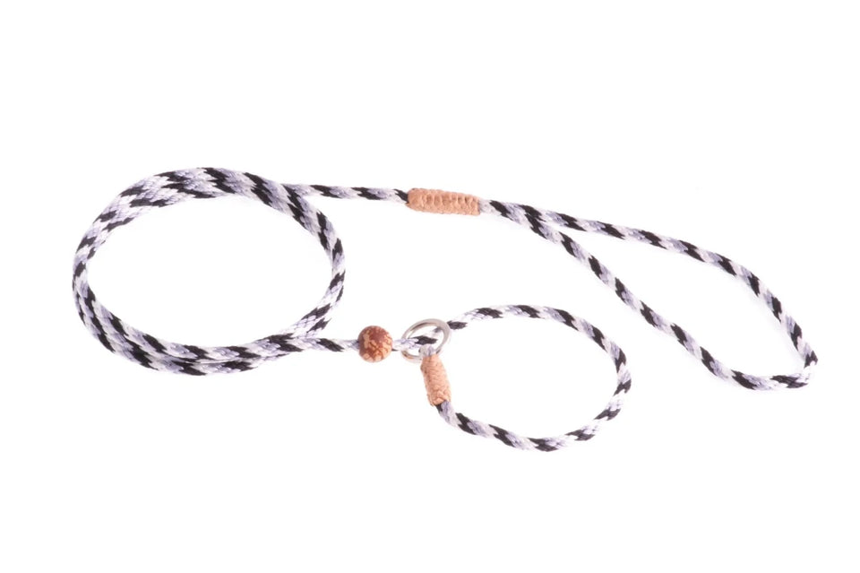 Nylon Slip Lead With Stopper (4 ft x 1/8 in or 4 mm) - Pets Perfect