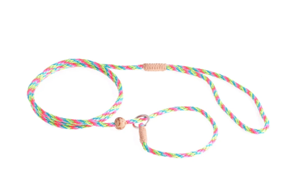 Nylon Slip Lead With Stopper (4 ft x 1/8 in or 4 mm) - Pets Perfect