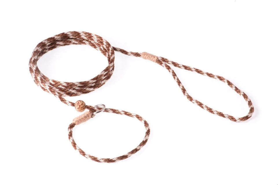 Nylon Slip Lead With Stopper (6 ft x 1/8 in or 4 mm) - Pets Perfect