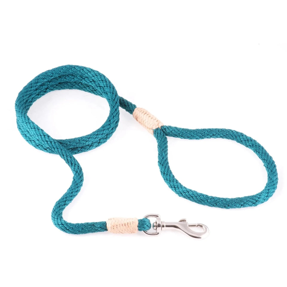 Nylon Snap Leads (6 ft x 1/8 in or 4 mm) - Pets Perfect
