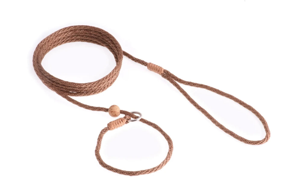 Nylon Slip Lead With Stopper (6 ft x 1/8 in or 4 mm) - Pets Perfect