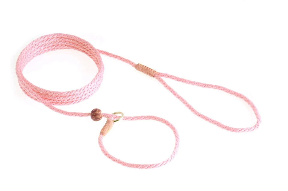 Nylon Slip Lead With Stopper (6 ft x 1/8 in or 4 mm) - Pets Perfect