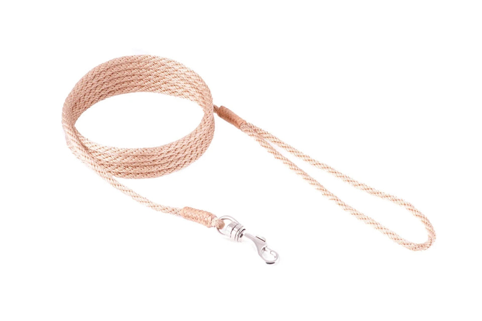 Nylon Snap Leads (6 ft x 1/8 in or 4 mm) - Pets Perfect