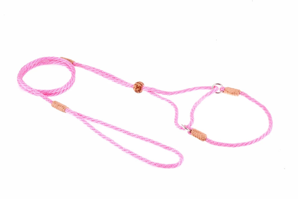 Nylon Martingale Leads (8 in x 1/8 in or 4 mm) - Pets Perfect