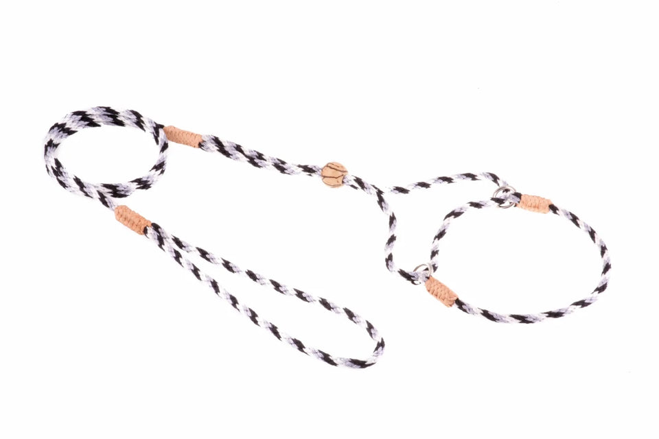 Nylon Martingale Leads (8 in x 1/8 in or 4 mm) - Pets Perfect